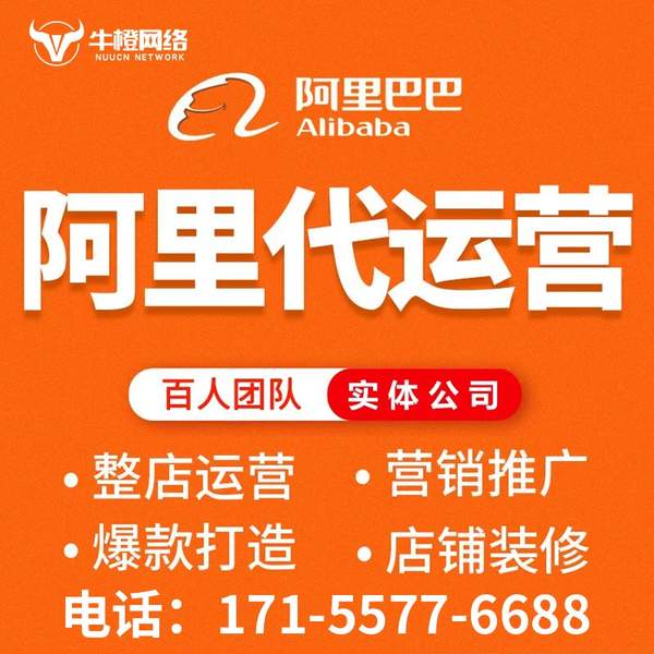 北流电商代运营