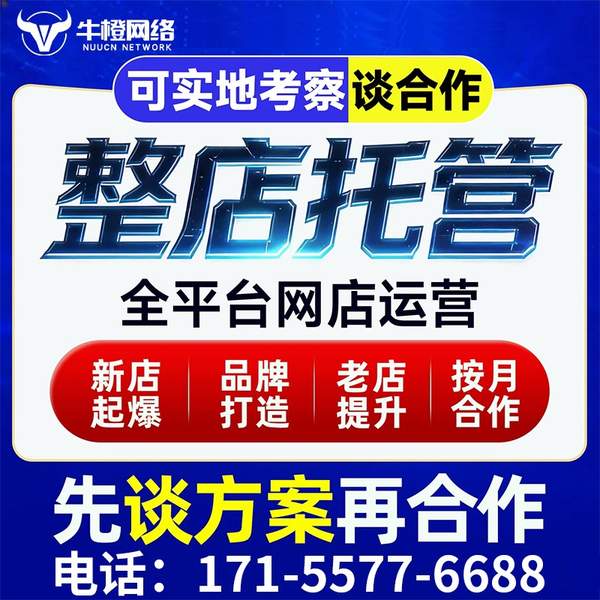 北流电商代运营