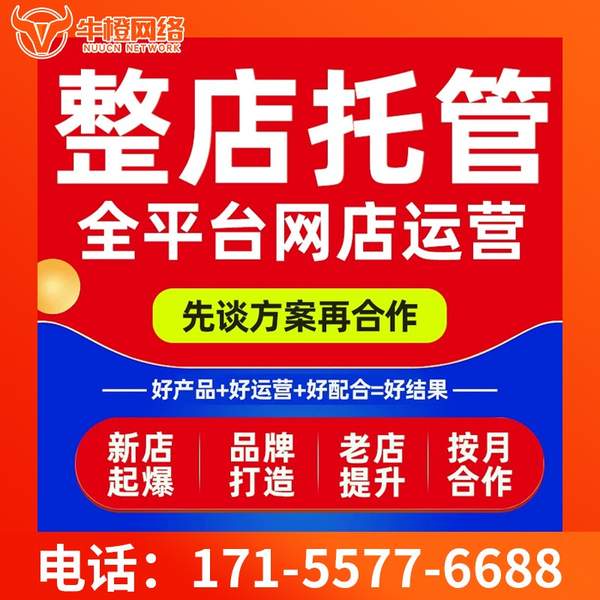 北流电商代运营