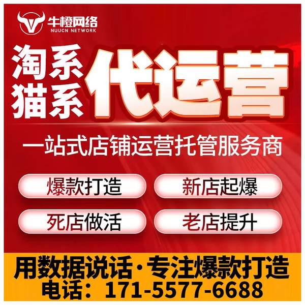 北流电商代运营